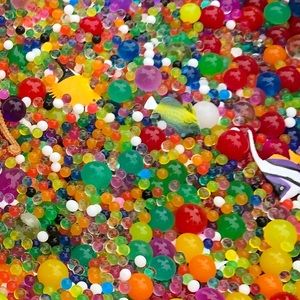 Meet your Posher, Phoebe